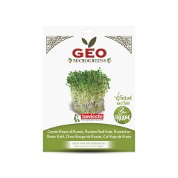 Sementes de couve-rábano vermelha da Rússia para microverdes ecológicos, 15 g - Bavicchi GEO