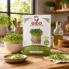 Semillas de col rizada roja de Rusia para microgreens ecológica, 15 g - Bavicchi GEO