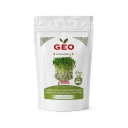 Semillas de col rizada roja de Rusia para microgreens ecológicas, 300 g - Bavicchi GEO