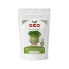 Sementes de couve-russa vermelha para microverdes ecológicos, 300 g - Bavicchi GEO