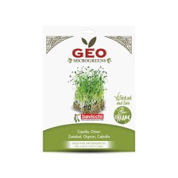 Sementes de cebola para microvegetais orgânicos, 10 g - Bavicchi GEO
