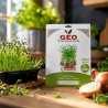 Sementes de cebola para microvegetais orgânicos, 10 g - Bavicchi GEO
