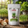 Sementes de cebola para microgreens orgânicos, 150 g - Bavicchi GEO