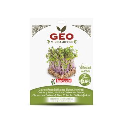 Sementes de couve-nabo Delicadeza Azul para microverdes ecológicos, 15 g - Bavicchi GEO
