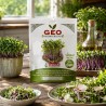 Sementes de couve-nabo Delicadeza Azul para microverdes ecológicos, 15 g - Bavicchi GEO