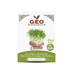 Sementes de Pak Choi branco para microverdes orgânicos, 15 g - Bavicchi GEO