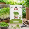 Semillas de Pak Choi blanco para microgreens ecológicas, 15 g - Bavicchi GEO