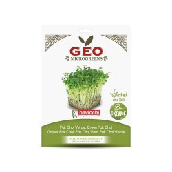 Sementes de Pak Choi verde para microverdes ecológicos, 15 g - Bavicchi GEO