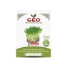 Semillas de Pak Choi verde para microgreens ecológicos, 15 g - Bavicchi GEO