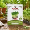 Sementes de Pak Choi verde para microverdes ecológicos, 15 g - Bavicchi GEO