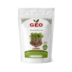 Sementes de couve-nabo Delicadeza Azul para microverdes ecológicos, 300 g - Bavicchi GEO