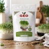 Sementes de Pak Choi branco para microverdes orgânicos, 200 g - Bavicchi GEO
