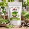 Sementes de Pak Choi verde para microvegetais ecológicos, 200 g - Bavicchi GEO