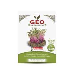 Sementes de beterraba Chioggia para microverdes ecológicos, 15 g - Bavicchi GEO