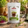 Semillas de remolacha Bull’s Blood para microgreens ecológicas, 200 g - Bavicchi GEO