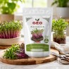 Sementes de Beterraba Chioggia para microvegetais ecológicos, 250 g - Bavicchi GEO