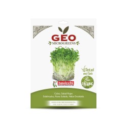 Sementes de nabo para microvegetais ecológicas, 50 g - Bavicchi GEO