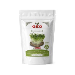 Sementes de mostarda vermelha para microvegetais ecológicos, 200 g - Bavicchi GEO