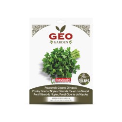 Sementes de salsa gigante de Nápoles biológicas, 4 g - Bavicchi GEO
