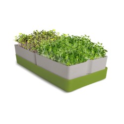 Bandeja Geo Smart Greens e 2 sacos de substrato para microgreens - Bavicchi