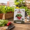 Semillas de rábano rojo ecológicas, 5 g - Bavicchi GEO