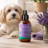 Bruma de uso diario Violeta para perros, 100 ml - The Doog Life