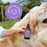 Bruma de uso diario Violeta para perros, 100 ml - The Doog Life