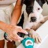 Cepillo de banho para cães - The Doog Life