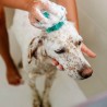 Cepillo de banho para cães - The Doog Life