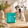 Complemento de pelo y piel para perros en polvo, 120 g - The Doog Life