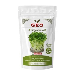 Sementes de nabo para microgreens ecológicas, 500 g - Bavicchi GEO