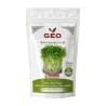 Sementes de nabo para microgreens ecológicas, 500 g - Bavicchi GEO