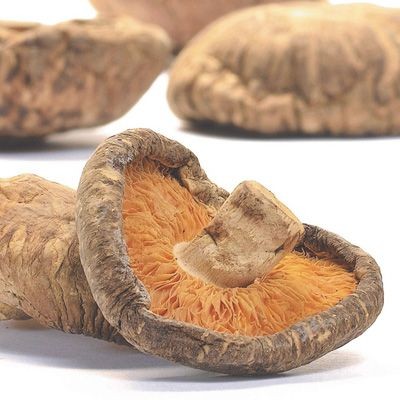 Cogumelos desidratados