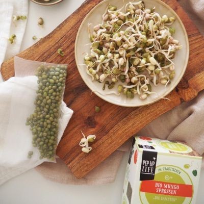 Sementes para germinar ecológicas